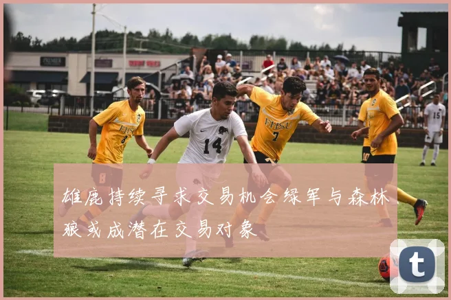雄鹿持续寻求交易机会绿军与森林狼或成潜在交易对象